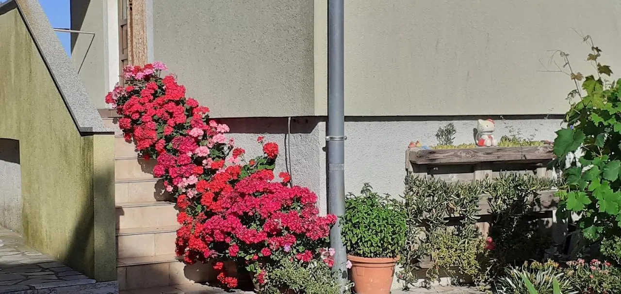 Ferienwohnung Kelk Loznati